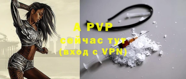 стафф Абинск