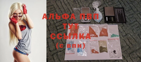стафф Абинск