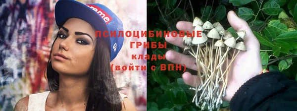 прущая мука Абаза