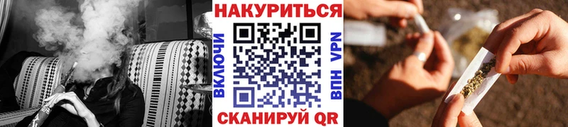 Конопля OG Kush Красково